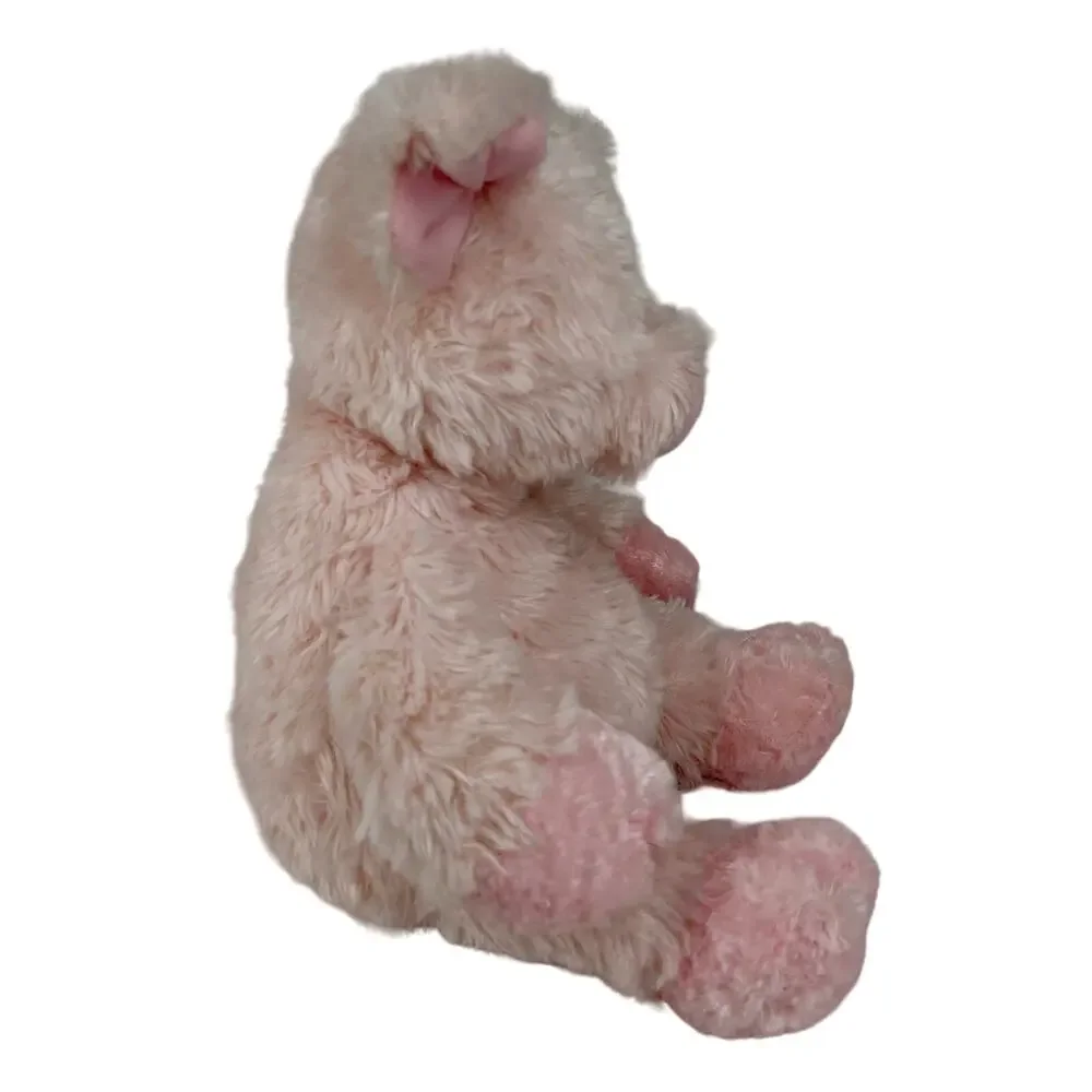 Aurora 12 pig